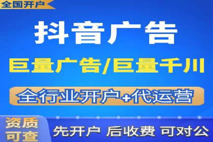 竞价广告的投放策略与效果评估——以一成功企业为例